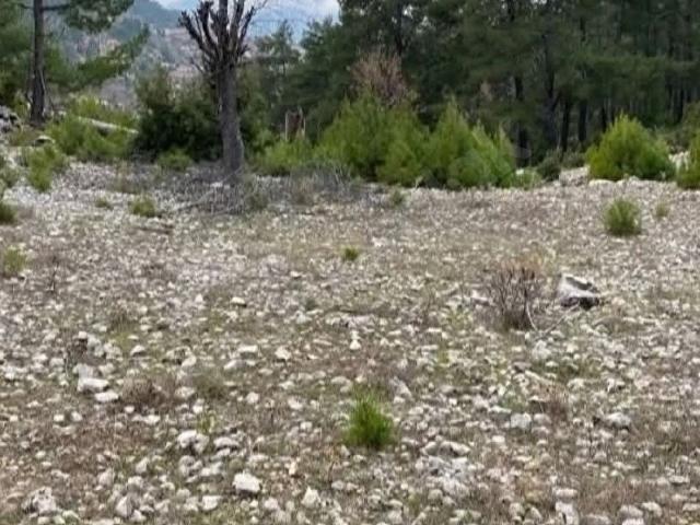 Hisarçandır mahallesinde Yatırımlık Tarla