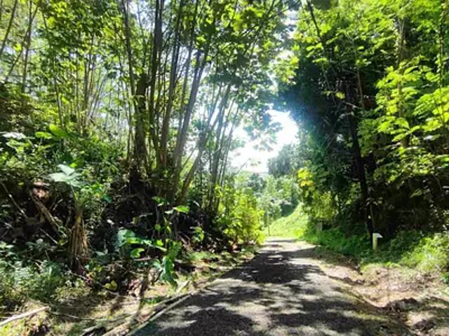 Hitiaa O Te Ra 98707 Achat / Vente terrain