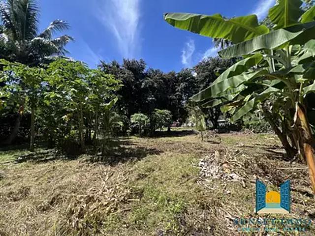 Hitiaa O Te Ra 98705 Achat / Vente terrain