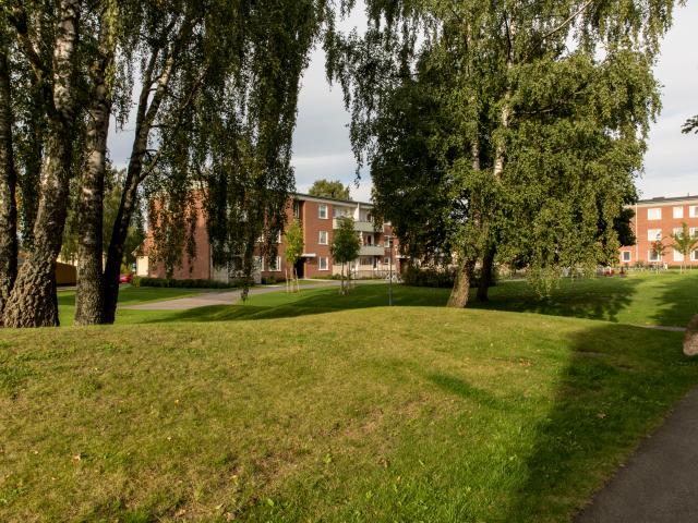 hjo, västra götaland