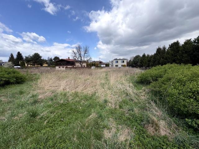 Hoża 1 800 m², Rybnik