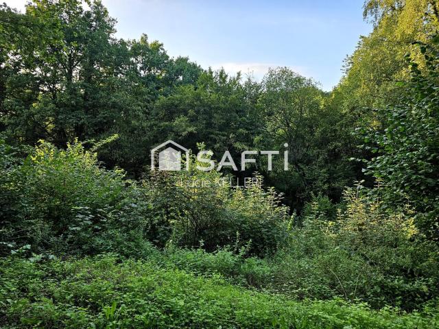 Hombourg Haut Vente Terrain 57