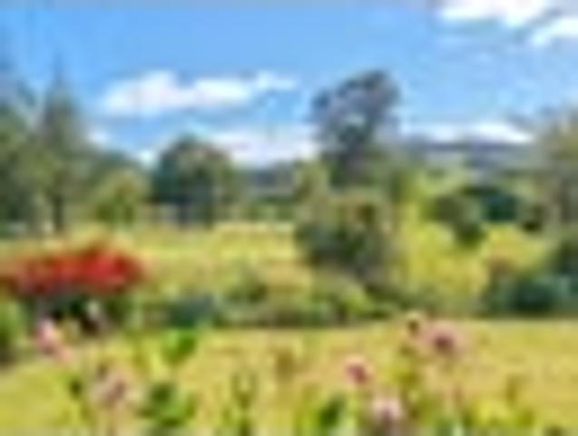 Home and income potential Motivated vendor