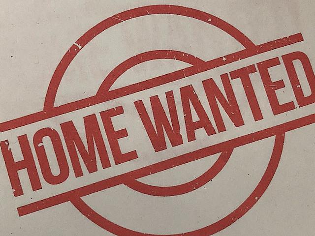 Home Wanted In Warman