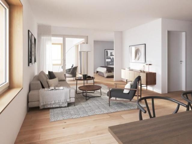 Homely Bijou Nouveau bâtiment moderne à Höri | dreamo. Ch