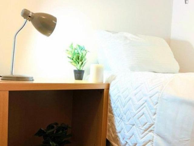 Homely Single bedroom close to University College Cork