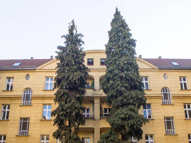 HOMESK Vermietete 2 Zimmer Terrassenwohnung im Altbau in Pankow