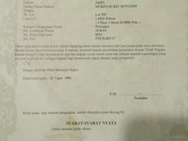 HOMESTAY Dan Ladang Kelapa Sawit UNTUK DIJUAL