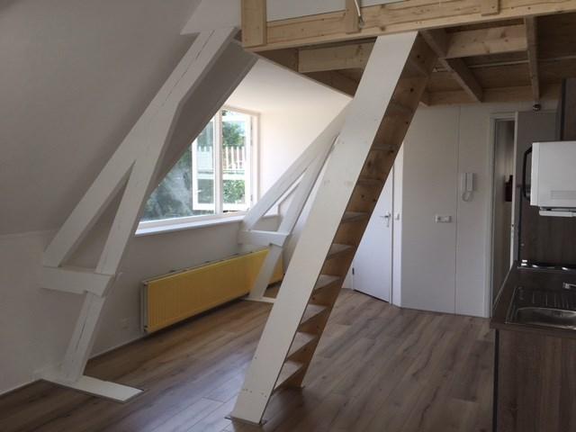 Hommelseweg, Arnhem Amsterdam Apartments for Rent