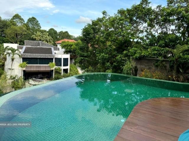 Hong Kong Park D21, Detached