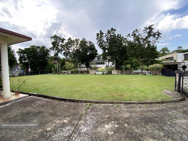 Hong Kong Park D21, Detached