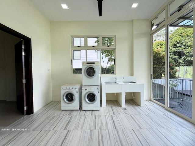 Hong Kong Park D21, Detached