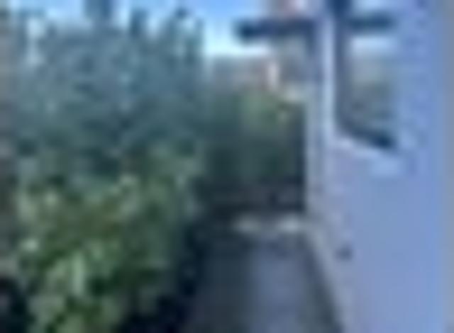 Hobsonville, 1 bedroom, $540 pw