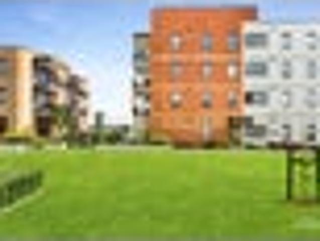 Hobsonville, 2 bedrooms, $650 pw
