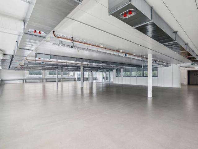 Hochwertige, belüftete Gewerbefläche in Brugdorf zu vermieten!