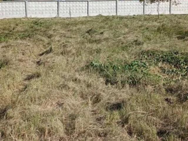 Ходосеевка, Хутір ясний, продажа земельного участка, район