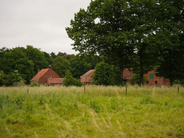 Hoeve te koop met 3 slaapkamers