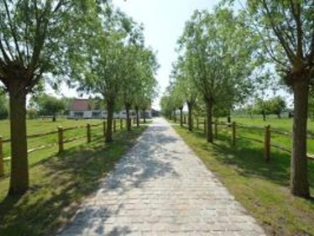 Hoeve in zeer goede staat op 1,22 Ha grond en stallen voor