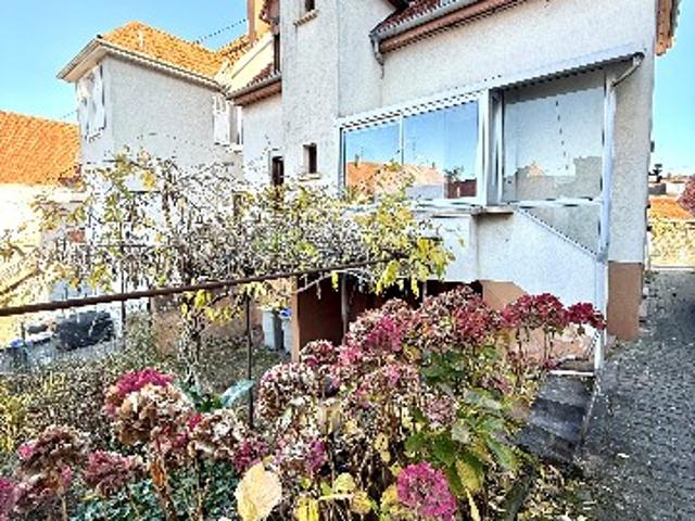Hoenheim Vente Maison 67