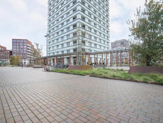 Hofvijver