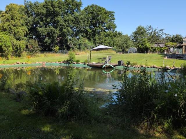 Hofanwesen mit großen Schwimmteich und Scheune