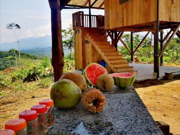 Hogar Tranquilo en la Eco Aldea “Refugio de Frutas”
