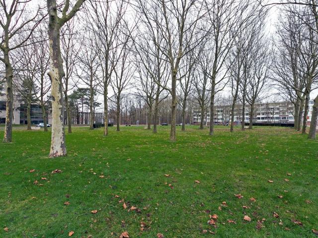 Hogeschoollaan, 132