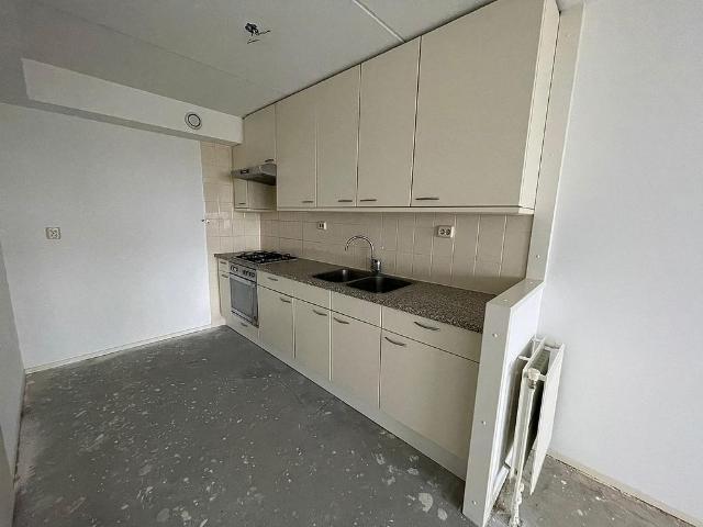 Hogewerf 219