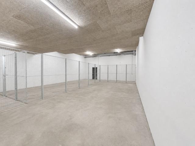 Hohe Lagerflächen im Untergeschoss in Root! jetzt ab 50 m²