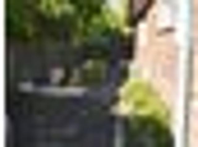 Hokowhitu, 4 bedrooms, $690 pw