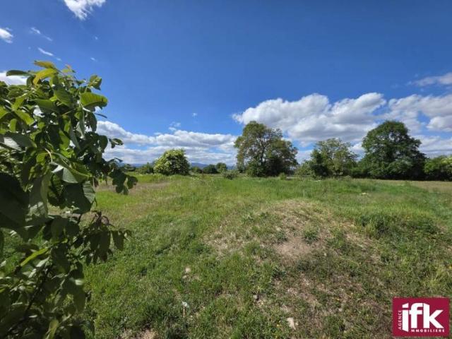 Holtzwihr terrain de construction 700m2