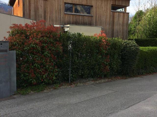 holzständerhaus, niedrigenergiehaus, südlage, ruhig, villenlage