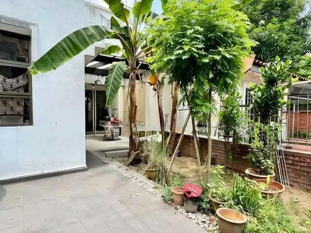 Holland Grove Road D10, Terrace