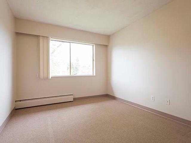 Holly Tree Apartments Bachelor