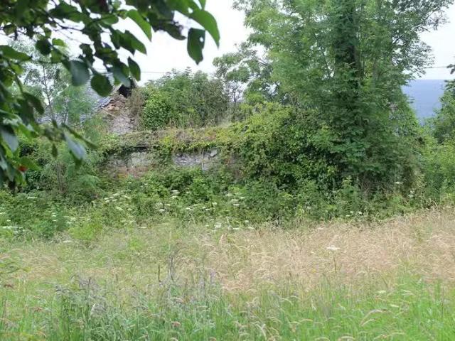 Hollybrook, Myshall, Co. Carlow