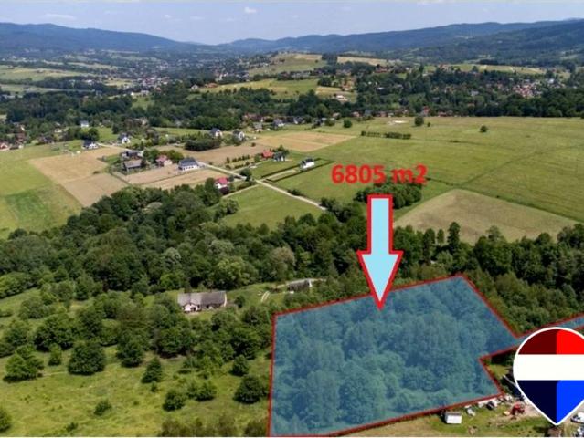 Holnówka 6 805 m², Rychwałd