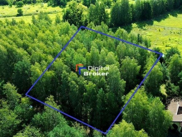 Hortensji 2 000 m², Strzeniówka