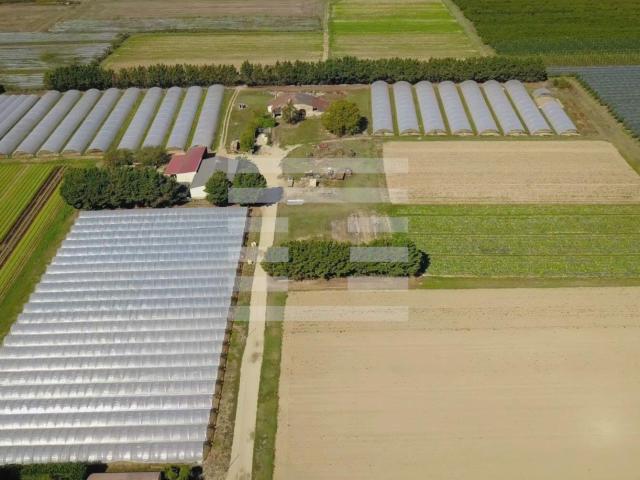 Horticole / Maraîchage 120m² Marmande