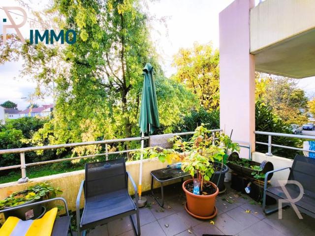 Horbourg Wihr appartement 2 pièces 54m²