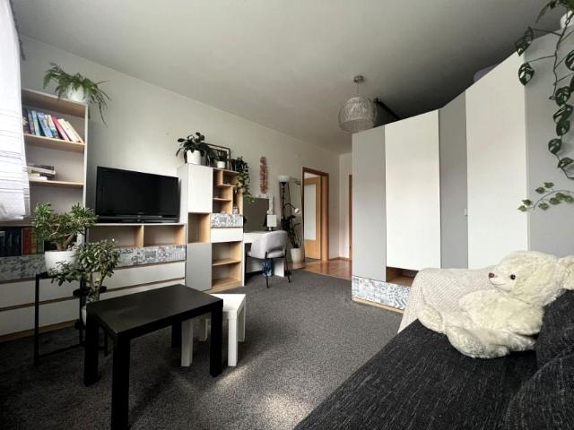 Horeszków 34,10 m², Szczecin