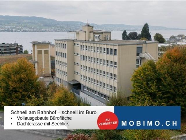 Horgen Ausgebautes Büro Plug and Play