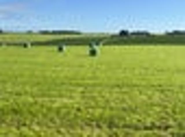 Horizon Views With 3.56 Hectares!
