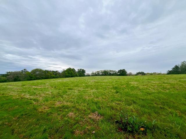 Horsarrieu Vente Terrain 40