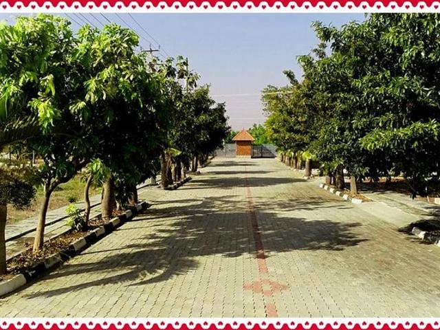 Hoskote 1200 Sq.Ft. Plot in Hoskote Bangalore Listing ID: #9951