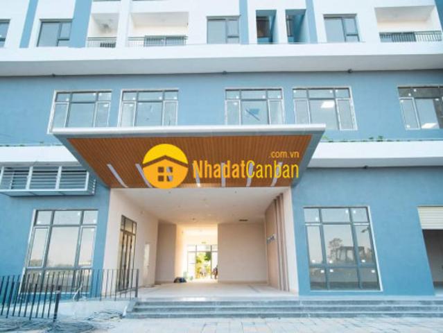 Hot cơ hội mua căn hộ ở quy nhơn chỉ với 11,5 triệu đồngm2
