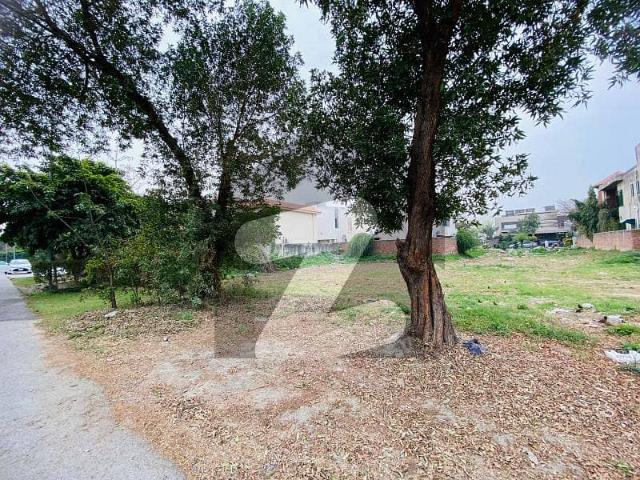 Hot Deal! 1 Kanal Pair Plots Plot Nos. U 695 & U 696 For Sale | DHA Phase 8 | Prime Location | Ideal Investment