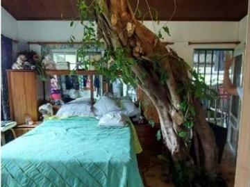 Hotel de lujo en venta Boquerón, Provincia de Colón 130652 LuxuryEstate. Com
