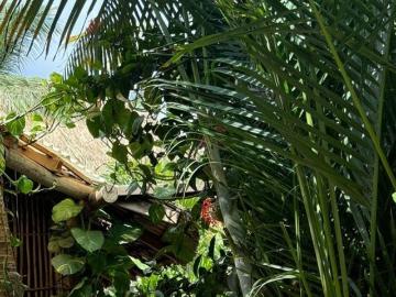 Hotel en venta/Playa Zipolite