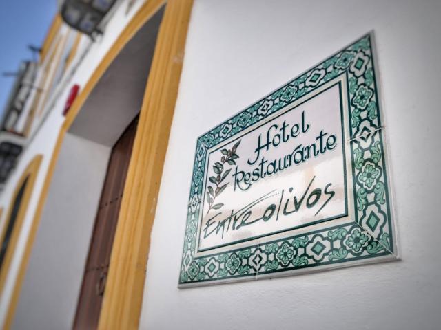 Hotel Entreolivos