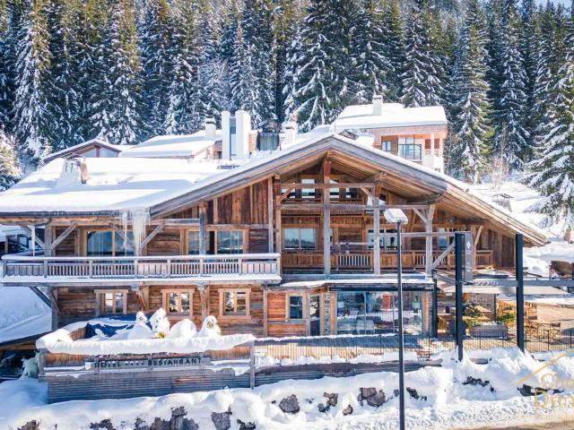 Hôtel et Chalets au pied des pistes 1177m² Arâches la Frasse Les Carroz d'Arâches